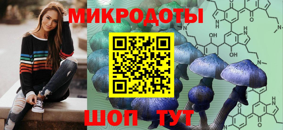 Псилоцибиновые грибы GOLDEN TEACHER Нововоронеж