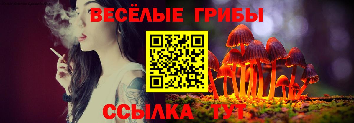 Псилоцибиновые грибы мухоморы  Вход с VPN  Нововоронеж 
